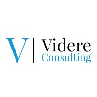 Videre Consulting LTD logo - Similar company to Letpoint