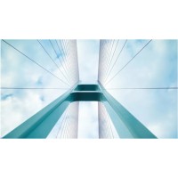 First Thoughts Consulting, Inc