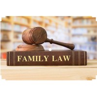ADV M P SALUNKE AND LEGAL ASSOCIATES logo - Similar company to Adnex Advertising