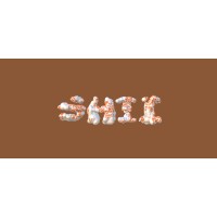 Shii logo - Similar company to Fright Vision