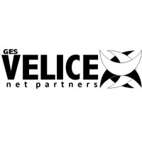 Gesvelice Net Partners logo - Similar company to Goola