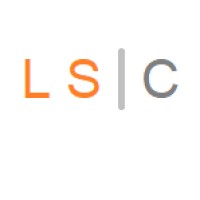 Level Set Consulting