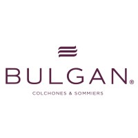 Bulgan logo - Similar company to Prof. Dr. Gökçe Bulgan