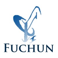Fuchun Industry Development Co., Ltd. Shenzhen logo - Similar company to Tecnomecanica Gt
