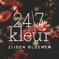 24/7Kleur logo - Similar company to Playershome