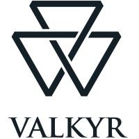 Valkyr logo - Similar company to White Hat It Security