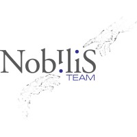 Nobilis.Team logo - Similar company to Siblion