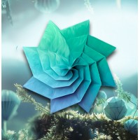 Agencia Lotus Design logo - Similar company to Criativito