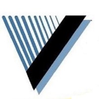 Value Driven Companies, LLC logo - Similar company to Silver Zebras, Llc
