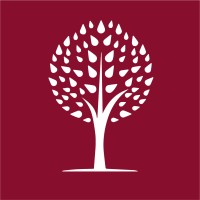 Dynamite Search Group logo - Similar company to Freshefied Cic