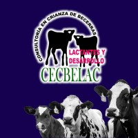 CECBELAC S. A. de C. V. logo - Similar company to Tambodem