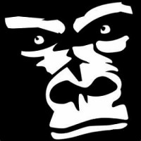 Silverback Transport logo - Similar company to Scaled Vision
