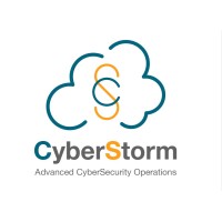 CyberStorm Solutions logo - Similar company to Vader Security