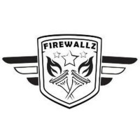 Department of Firewallz logo - Similar company to Electrical & Electronics Association, Bits Pilani