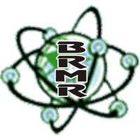 BUREAU OF RAJASTHAN MARKET RESEARCH logo - Similar company to 99 Concepts