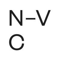 Nonverbal Club logo - Similar company to Galgo Studio