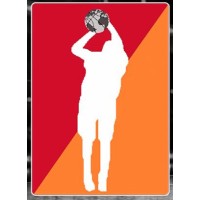 Global Sports Basketball Management S.L. logo - Similar company to Big (Basketball International Group)