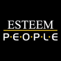 ESTEEM PEOPLE GRAPHICS SOLUTIONS PRIVATE LIMITED logo - Similar company to Zing Systems