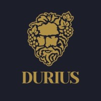 Durius Experience logo - Similar company to Durius Capital