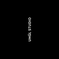 UNGL Studio logo - Similar company to Systemato