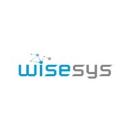 WiseSys logo - Similar company to Ict Values