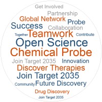 Target 2035 logo - Similar company to Solistra