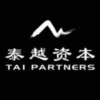 Tai Partners logo - Similar company to Jia Finance
