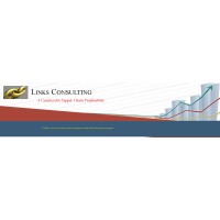 Links Consulting logo - Similar company to Vmad