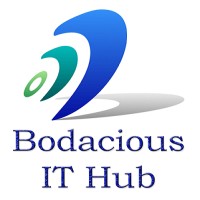 Bodacious IT Hub logo - Similar company to My Auctions