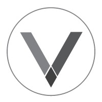 Venturesoft logo - Similar company to Venturessoft