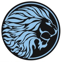 Shumba Consulting logo - Similar company to Couryah!