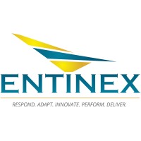 Entinex logo - Similar company to Baltimore Venom