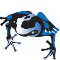 Blue Frog Solutions