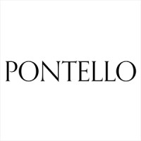 Pontello - Architecture & Engineering logo - Similar company to D A S H | Architecture