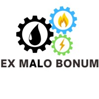Ex Malo Bonum logo - Similar company to Critical Team Performance