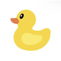 Duck Software logo - Similar company to Docsnap