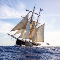 Tall Ship Wylde Swan logo - Similar company to Windseeker