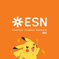 Erasmus Student Network MU logo - Similar company to Quantumgulf