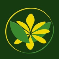 Brasil Flor logo - Similar company to Snap.Tv