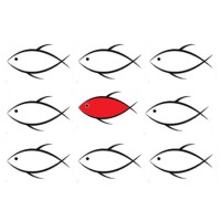 WILLIAM HOWARD ASSOCIATES LIMITED logo - Similar company to Sidoli