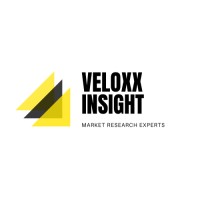 Veloxx Insight logo - Similar company to Carroll Search Partners