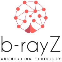 b-rayZ logo - Similar company to Imvaria
