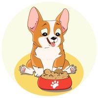 Lucky Belly logo - Similar company to Every Tail Vets
