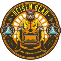 BDS IESEG Paris logo - Similar company to Regular