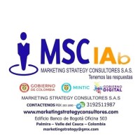 Msc_Iab_ Marketing Strategy Consultores S.A.S