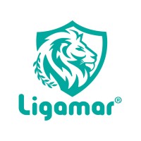 LIGAMAR SEGUROS logo - Similar company to Bio Casa