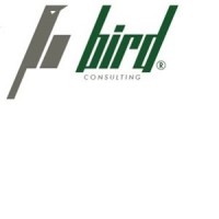 Bird Consulting Company logo - Similar company to Ncam Tecnologia Industrial