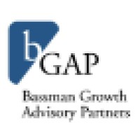 Bassman Growth Advisory Partners logo - Similar company to Benz International Group