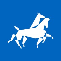 Denarius logo - Similar company to Ingprotec S.A.