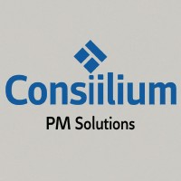 Consilium PM Solutions logo - Similar company to Virtual Petals